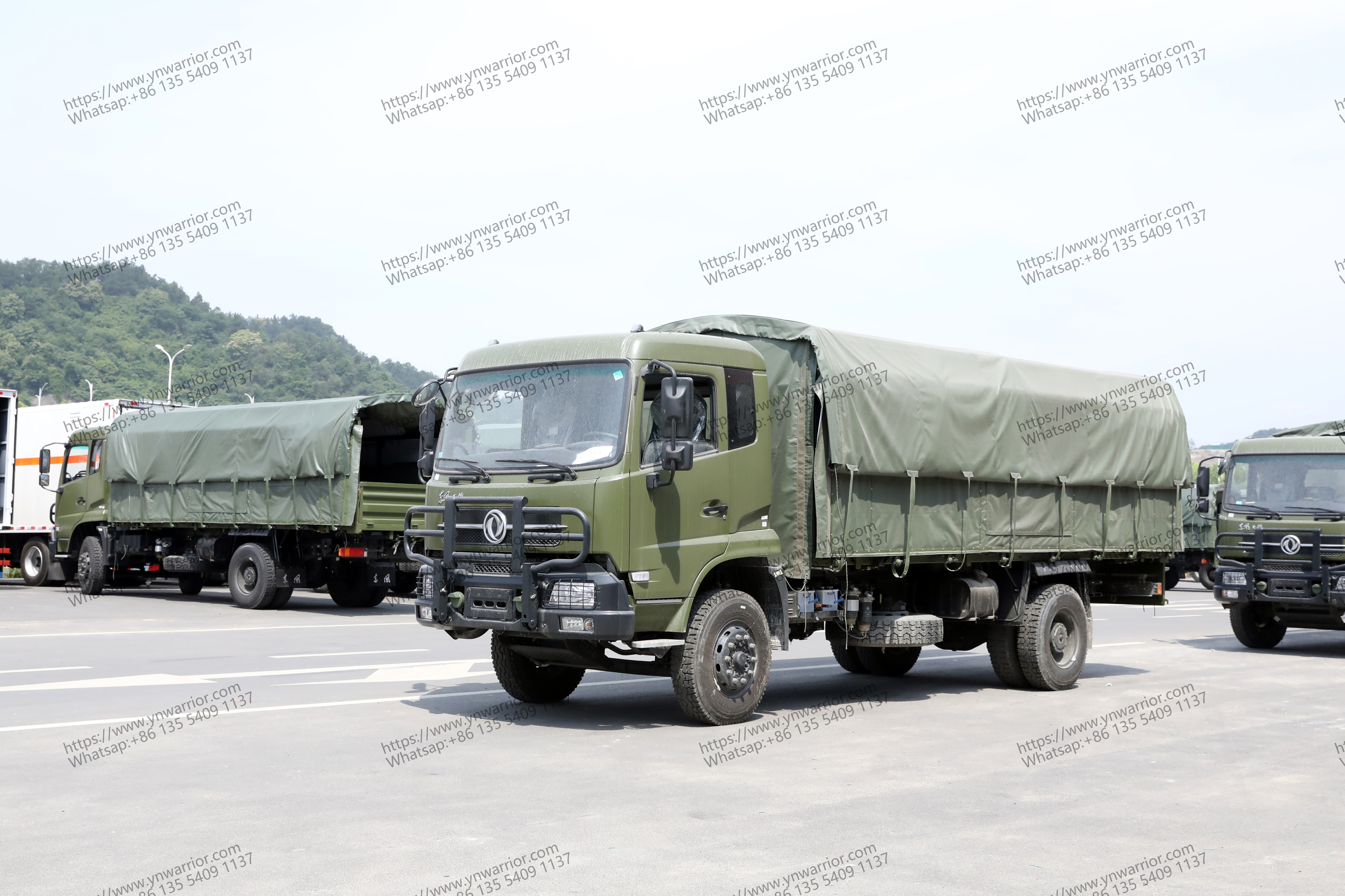 Real Life Cannopy နှင့်အတူ Cannopy နှင့်အတူ cannopy face