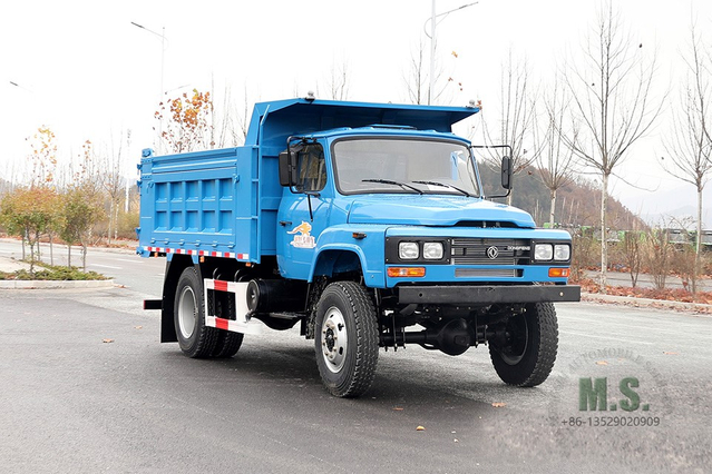 4*4 170hp Dump Truck_Dongfeng Pointed Single Row Tipper Truck_Four-wheel Drive Mining Truck Export Special Purpose Vehicle