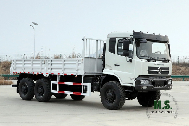 Dongfeng 6*6 Off Road Truck 260 Horsepower Forest Off-Road Cargo Vehicle Export အထူးထရပ်