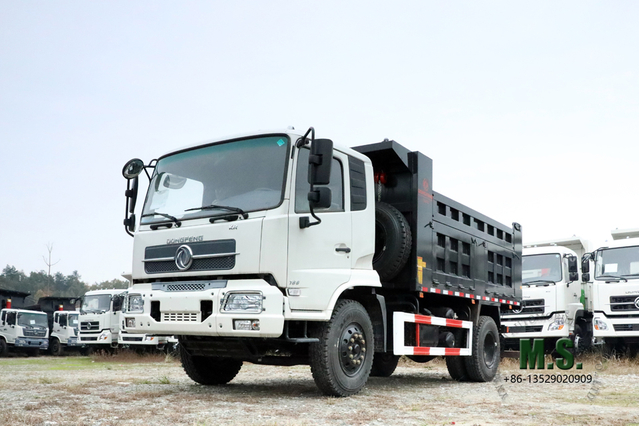 4*2 Dongfeng 160 HP Export Truck_ DFL3120B Flathead Row Half Dump Truck _Mining Tipper Truck ကိုယ်တိုင်အားပြန်သွင်းသည့် ထရပ်ကား