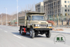 4*4 170hp Dongfeng Off-road Dump Truck_ ကုလားအုတ် မီးခိုးရောင် လေးဘီးယက် သတ္တုတူးဖော်ရေး ထရပ်ကားများ တင်ပို့ရန် အထူး Dump Truck ပြုပြင်မွမ်းမံ ထုတ်လုပ်သူ