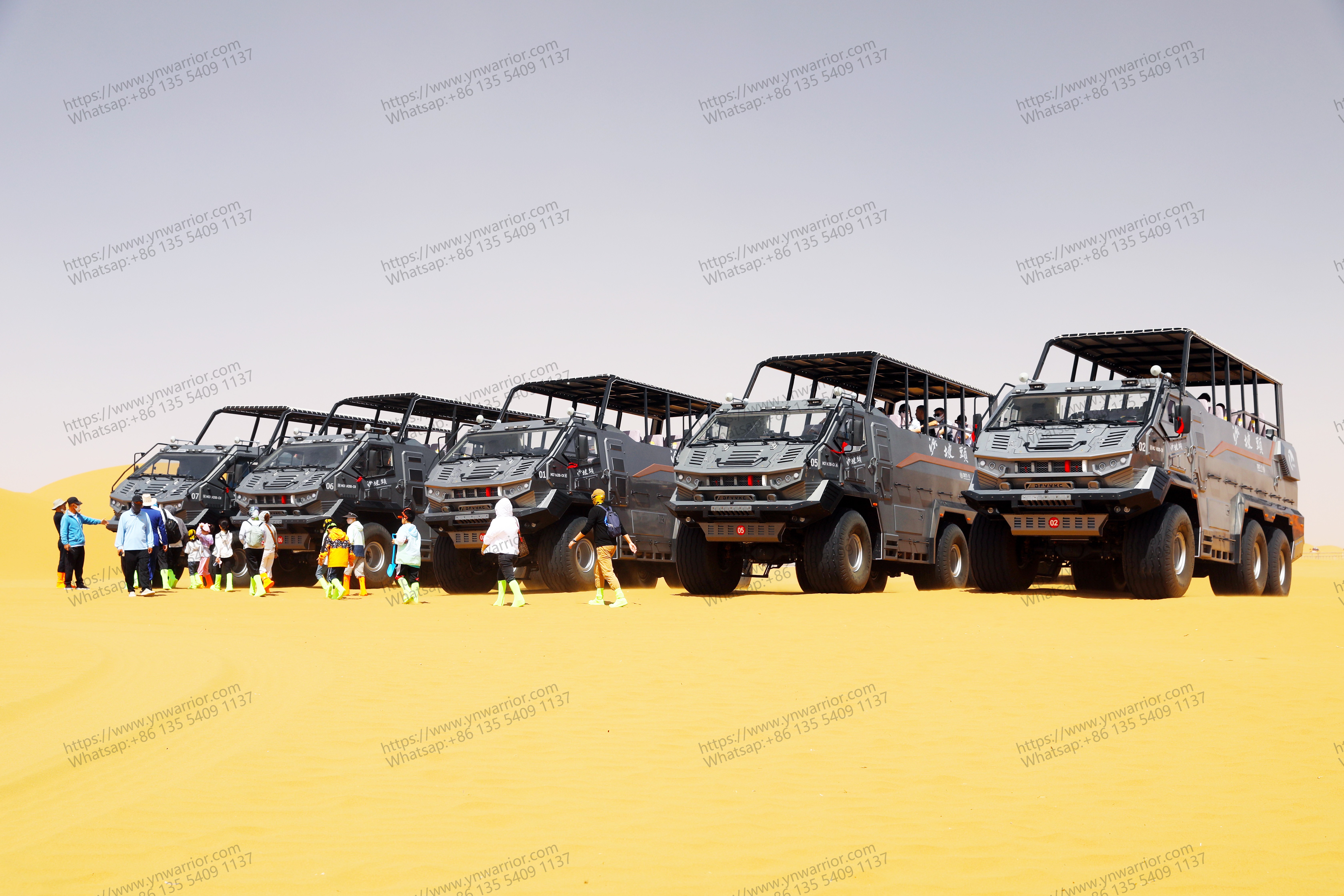 စဉ်တွင်သဲကန္တာရ Cruiser Bus ကိုဆွဲဆောင်သောခရီးသွားလုပ်ငန်း Cruiser 
