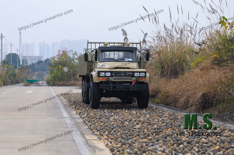 Cargo ကုန်တင်ကားများ 