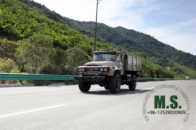 Dongfeng ဂန္ထဝင် 4x4 တစ်ခုတည်းနောက်ဘက်တာယာထရပ်ကား, ရိုးရှင်းသောထရပ်ကားအကြမ်းခံ